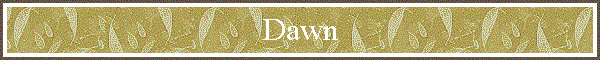 Dawn
