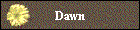Dawn