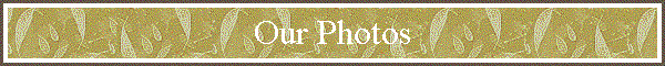 Our Photos